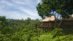 Alila Ubud - new terrace tree villa